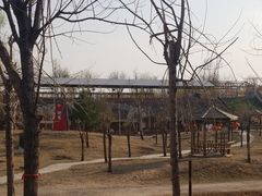 -北京鹿世界主题园