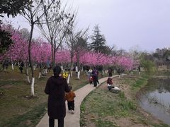 -堤角公园