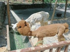 -西部长青自然儿童乐园