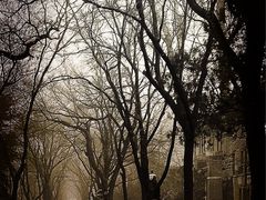 -山东大学(趵突泉校区)