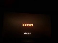 -万达影城(汉街万达广场IMAX店)