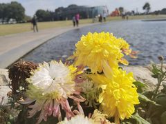 -上海月湖雕塑公园