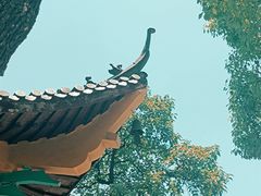 -杭州半山国家森林公园