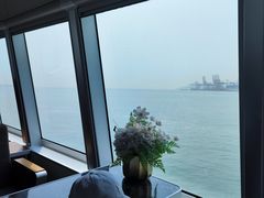 -招商蛇口邮轮母港(观光客运)