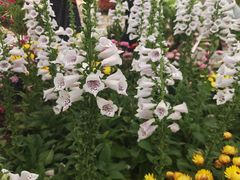 -沈阳植物园