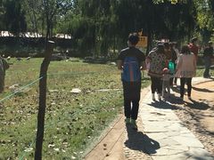 -南戴河国际娱乐中心