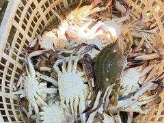 -中国舟山国际水产城