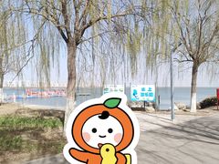 -东丽湖风景区