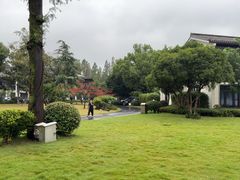 -杭州西湖柳莺里酒店