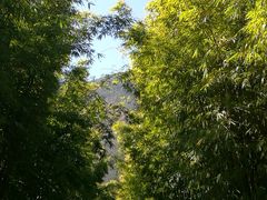 -蝴蝶泉公园