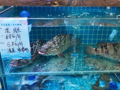 水产区-良师门滨海人家·海鲜·家常菜(滨海城店)