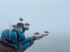 -大连老虎滩海洋公园