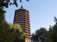 -玲珑塔公园
