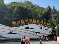-西双版纳原始森林公园
