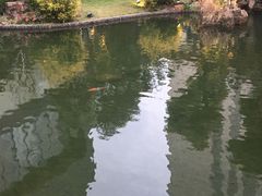 -上海虹桥宾馆味翠餐厅