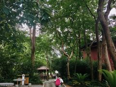 -白鹿洞书院