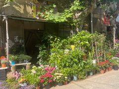 -金陵花卉交易市场