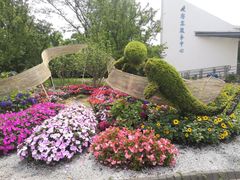 -上海滨江森林公园