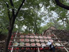 -红嫂家乡旅游区