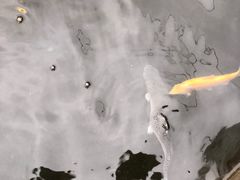 -天源渔港农庄