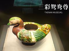 -河南博物院