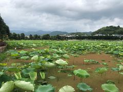-古田会议纪念馆