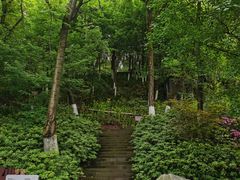 -重庆平顶山公园