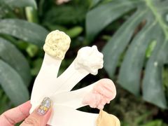 -野人先生Gelato(上海长宁龙之梦店)