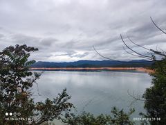 -广州市流溪河国家森林公园