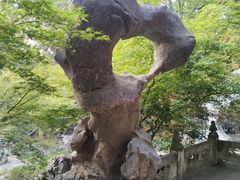 -扬州大运河文化旅游度假区·盆景园