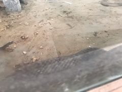-荔城生鲜盛宴(番禺旗舰店)
