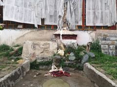 -比如骷髅墙景区