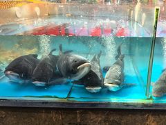-耕渔小院·湖南鱼鲜(望城店)