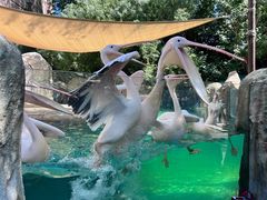 -波塞冬旅游度假区