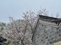 -天一阁博物院