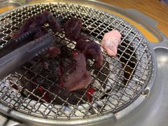 -喜来稀肉(北外滩白玉兰广场店)