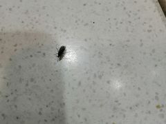 -那坡里比萨(康王北路店)