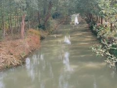-同里国家湿地公园