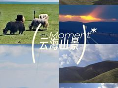 -青海湖国家重点风景名胜区