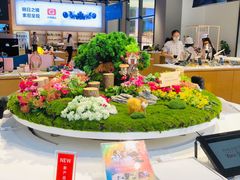 店内环境-Sony Store索尼(深圳深业上城店)
