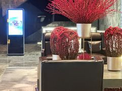 -北京康莱德酒店