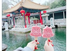 -趵突泉景区