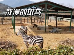 -无锡动物园·太湖欢乐园