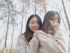 -合肥滨湖国家森林公园