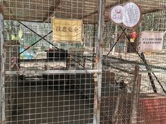 -草根堂农场