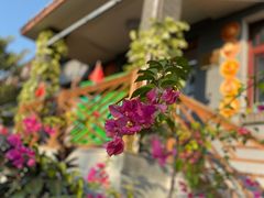 门面-钰田大院·碳烤虹鳟鱼·怀柔地道农家菜(雁栖湖店)