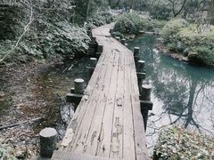 -杭州半山国家森林公园