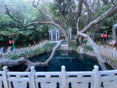 -蝴蝶泉公园