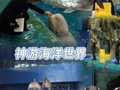 -威海华夏城景区