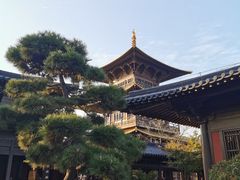 -广富林郊野公园